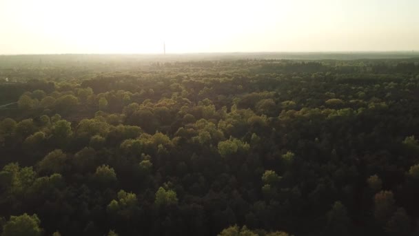 Vista Aérea Del Bosque Del Parque Nacional Exmoor Con Punto — Vídeos de Stock