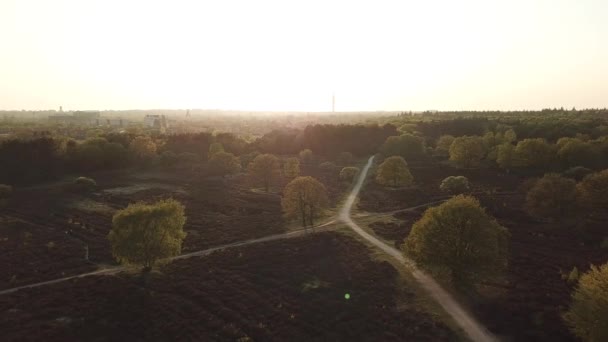 Flygfoto Exmoor National Park Skog Med Högsta Punkt Dunkery Beacon — Stockvideo