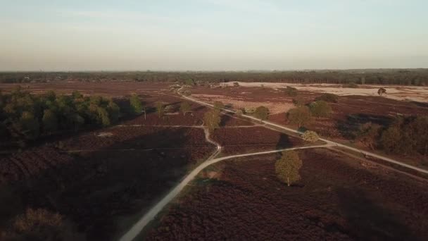 Uitzicht Vanuit Lucht Het Exmoor National Park Bos Met Het — Stockvideo