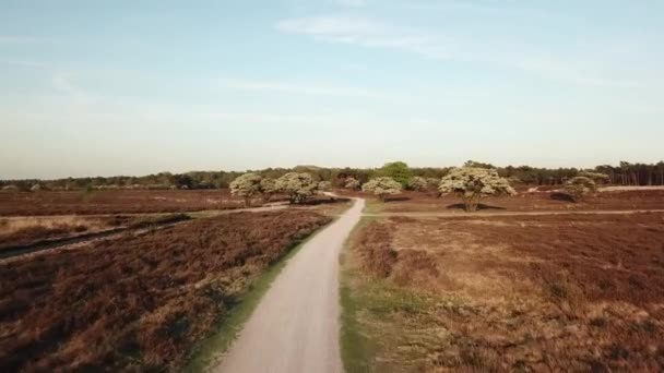 Aerial View Exmoor National Park Forest Highest Point Dunkery Beacon — Stock Video