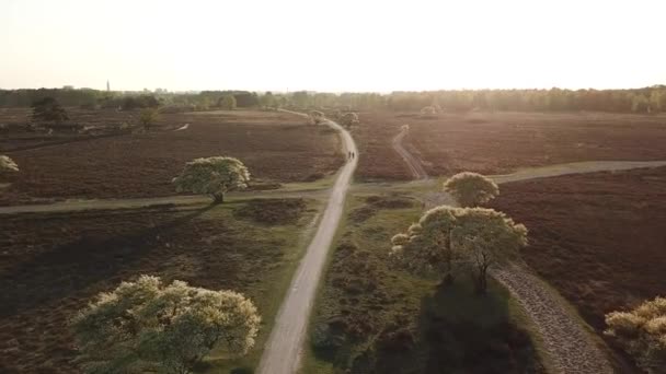 Vue Aérienne Forêt Parc National Exmoor Avec Balise Dunkery Haute — Video
