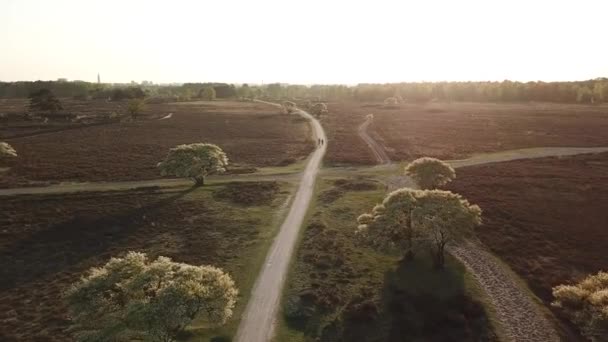 Flygfoto Exmoor National Park Skog Med Högsta Punkt Dunkery Beacon — Stockvideo