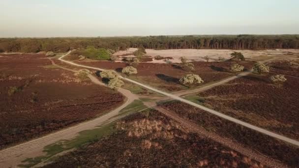 Flygfoto Exmoor National Park Skog Med Högsta Punkt Dunkery Beacon — Stockvideo