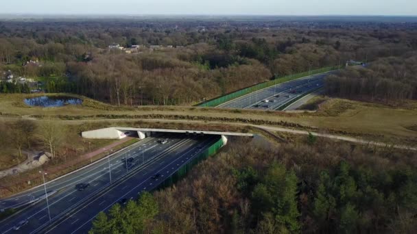 Luftaufnahme Eines Wildtierkreuzes Über Der Autobahn Mitten Wald Den Niederlanden — Stockvideo