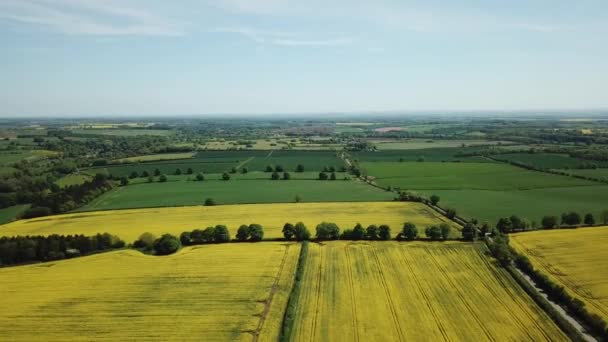 Aéreo Campos Colza Amarelos Nas Colinas Cotswold Inglaterra — Vídeo de Stock