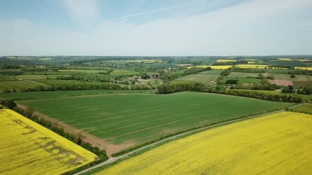 Ngiltere Deki Cotswold Tepelerinde Sarı Kolza Tohumu Tarlaları — Stok video