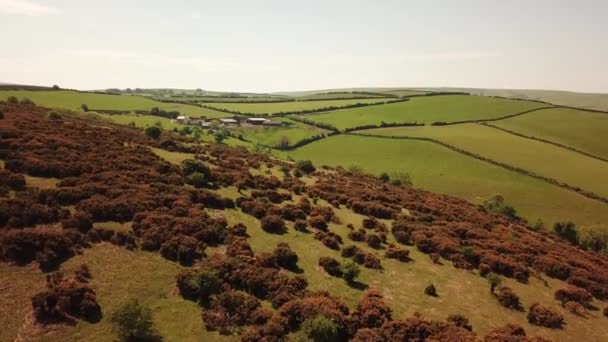 農家とExmoor国立公園の空中ビュー — ストック動画