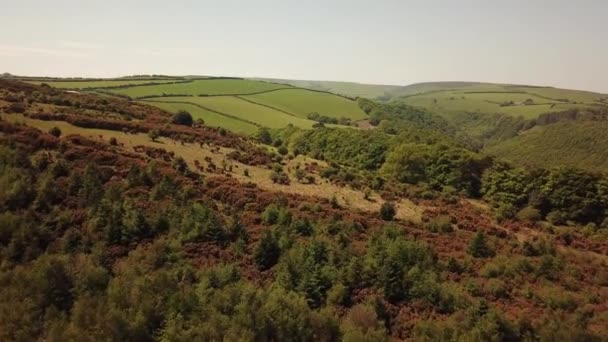 Vue Aérienne Forêt Parc National Exmoor Avec Balise Dunkery Haute — Video