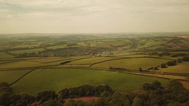 Flygfoto Från Fårbete Exmoor Hills — Stockvideo