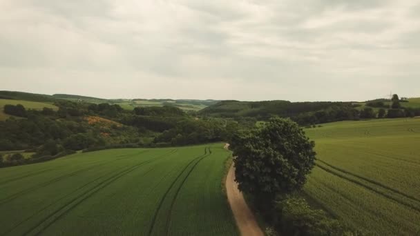 Eifel Národní Park Přírodní Kopce Krajina Letecký — Stock video