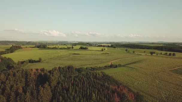 Eifel Národní Park Přírodní Kopce Krajina Letecký — Stock video