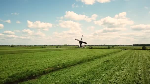 Aerial Shot Traditional Windmill Dutch Meadow Landscape Cumulus Clouds — Stock Video