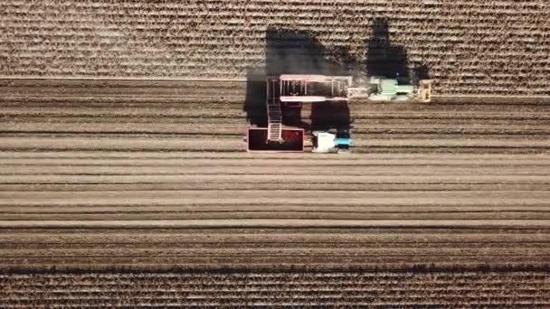 Luchtfoto Van Landbouwtrekkers Die Aardappelakkers Met Aardappelgewassen Oogsten — Stockvideo