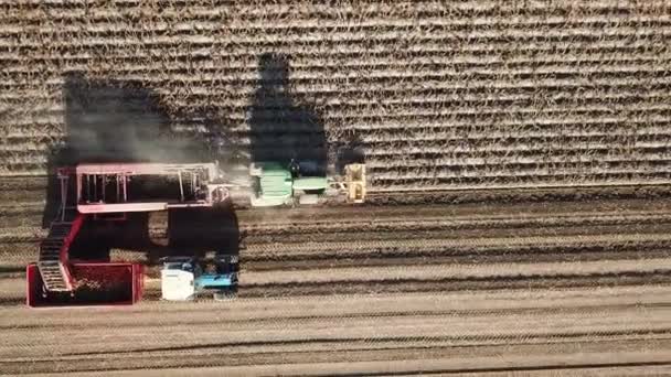 Antenn Lantbrukstraktor Maskiner Skörda Potatis Bonde Fält Med Potatisgrödor — Stockvideo