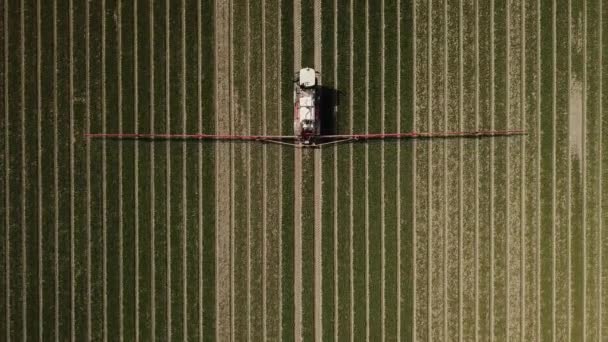 Filmagens Aéreas Máquinas Agrícolas Pulverizando Pesticidas Sobre Campo Agro — Vídeo de Stock