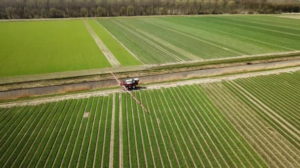 Riprese Aeree Macchine Agricole Che Spruzzano Pesticidi Terreni Agricoli — Video Stock