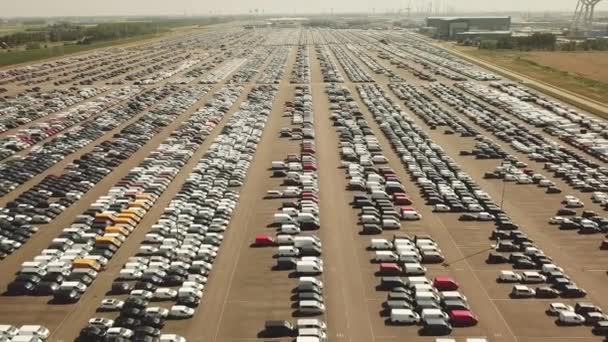 Muchos Coches Nuevos Ocasión Estacionamiento Enorme Que Espera Envío Aéreo — Vídeo de stock