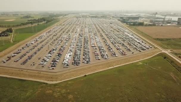 Birçok Yeni Özel Araba Büyük Bir Otoparkta Sevkiyatı Bekliyor Aerial — Stok video