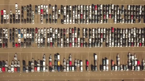 Molte Auto Nuove Occasione Enorme Parcheggio Attesa Spedizione Aerea Dall — Video Stock