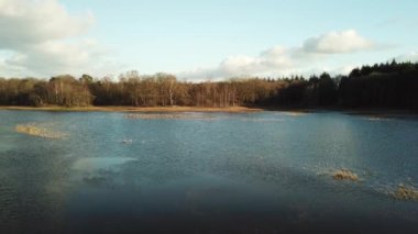 Göl ve sonbahar ormanı üzerinde uçan hava aracı