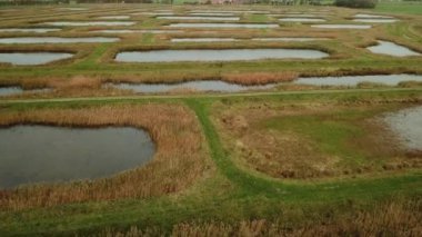 Volgermeerpolder, Amsterdam 'ın kuzeyinde yer alan ve yıllardır kimyasal olarak zehirlenen bir bölgedir.