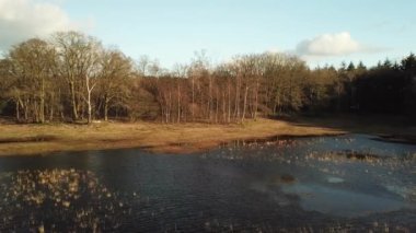 Göl ve sonbahar ormanı üzerinde uçan hava aracı