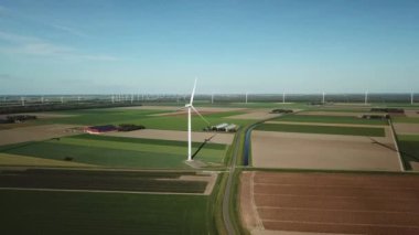 Hollanda polen sahasında rüzgar türbinleri