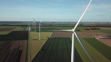 Hollanda polen sahasında rüzgar türbinleri