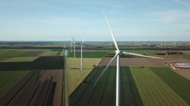 Hollanda polen sahasında rüzgar türbinleri
