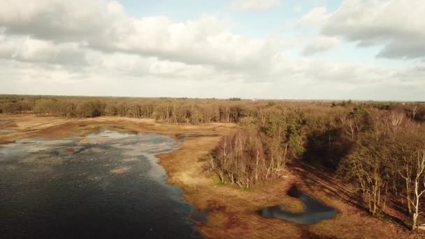 Aéreas Sobrevoando Lago Floresta Outono — Vídeo de Stock