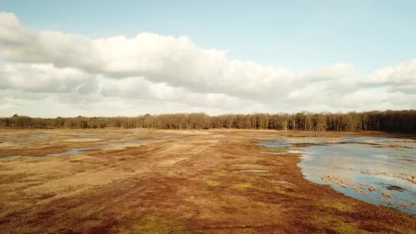 Aéreas Sobrevoando Lago Floresta Outono — Vídeo de Stock