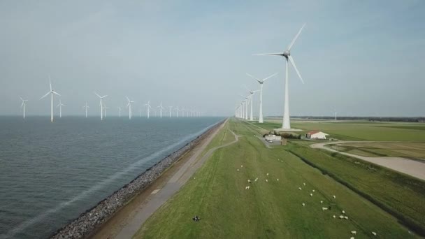 Offshore Windmolenpark Westermeerwind Urk Nederland — Stockvideo