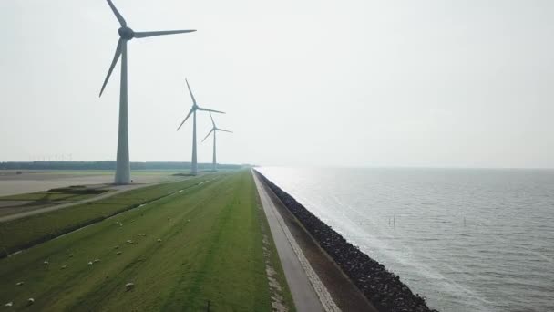 Morska Farma Wiatrowa Westermeerwind Urk Holandia — Wideo stockowe