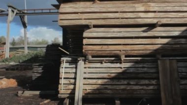 Sawmill 'deki bir sürü ormanın görüntüleri.