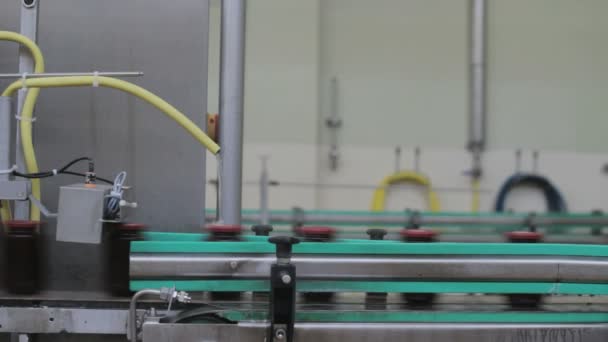 ジャム工場のクローズアップ映像 組立ライン — ストック動画