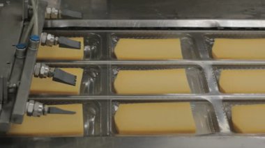 Hollanda 'daki peynir fabrikası. Montaj hattında bir sürü peynir var..
