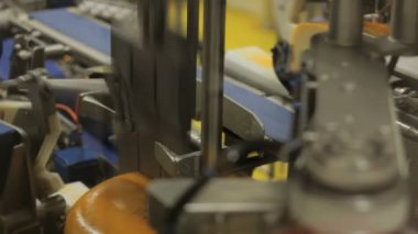 Hollanda 'daki peynir fabrikası. Montaj hattında bir sürü peynir var..