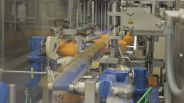 Hollanda 'daki peynir fabrikası. Montaj hattında bir sürü peynir var..