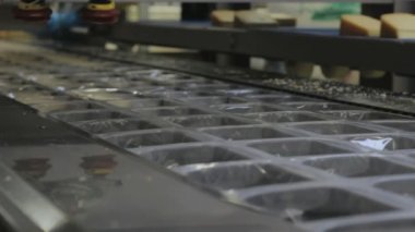 Hollanda 'daki peynir fabrikası. Montaj hattında bir sürü peynir var..