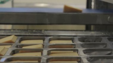 Hollanda 'daki peynir fabrikası. Montaj hattında bir sürü peynir var..