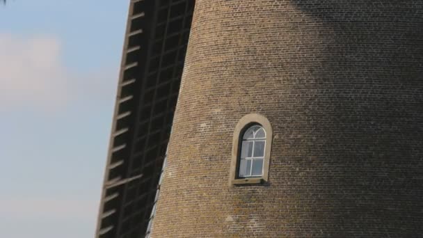 荷兰Kinderdijk的荷兰风车的风景镜头 — 图库视频影像