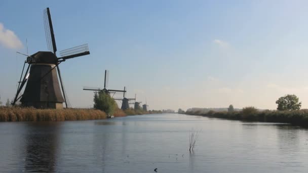 Hollanda Kinderdijk Hollanda Daki Hollanda Yel Değirmenlerinin Manzaralı Görüntüleri — Stok video