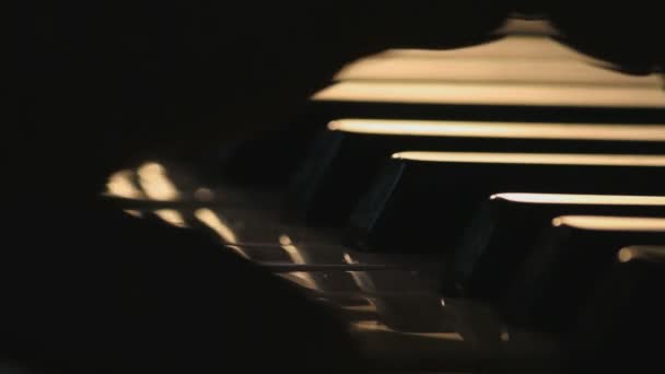 バックライトでピアノを弾く男のクローズアップ映像 — ストック動画