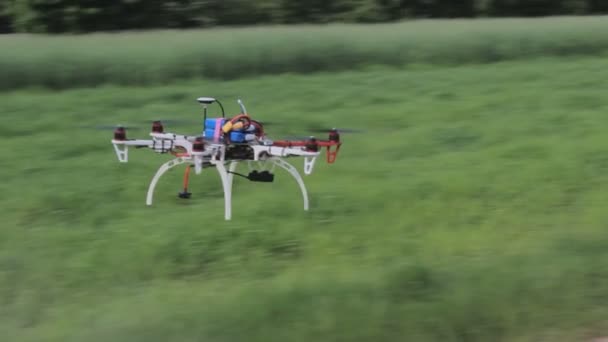 Drohne Fliegt Den Himmel Blick Von Unten Nach Oben Der — Stockvideo