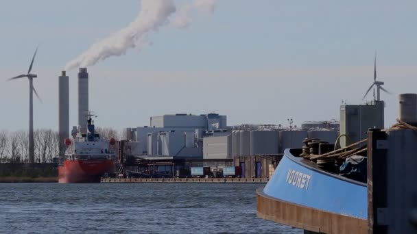 Amsterdam Havn Der Masser Vindmøller Derovre Men Også Masse Industri – Stock-video