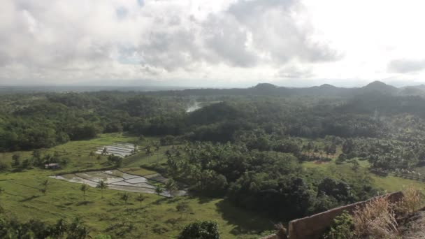 Σοκολάτα Hills Γεωλογικός Σχηματισμός Στην Επαρχία Bohol Φιλιππίνες — Αρχείο Βίντεο