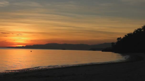 Malowniczy Zachód Słońca Nad Pięknym Jeziorem Letni Wieczór — Wideo stockowe