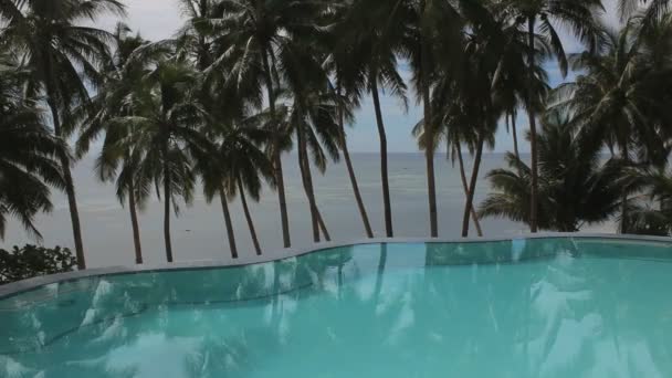 Vue sur la mer Piscine Avec Bord Infini
