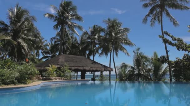 Vue Sur Mer Piscine Avec Bord Infini — Video