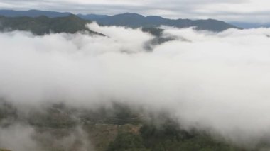 Güneşin doğuşuyla birlikte ormanın puslu dağlarının manzaralı görüntüleri.